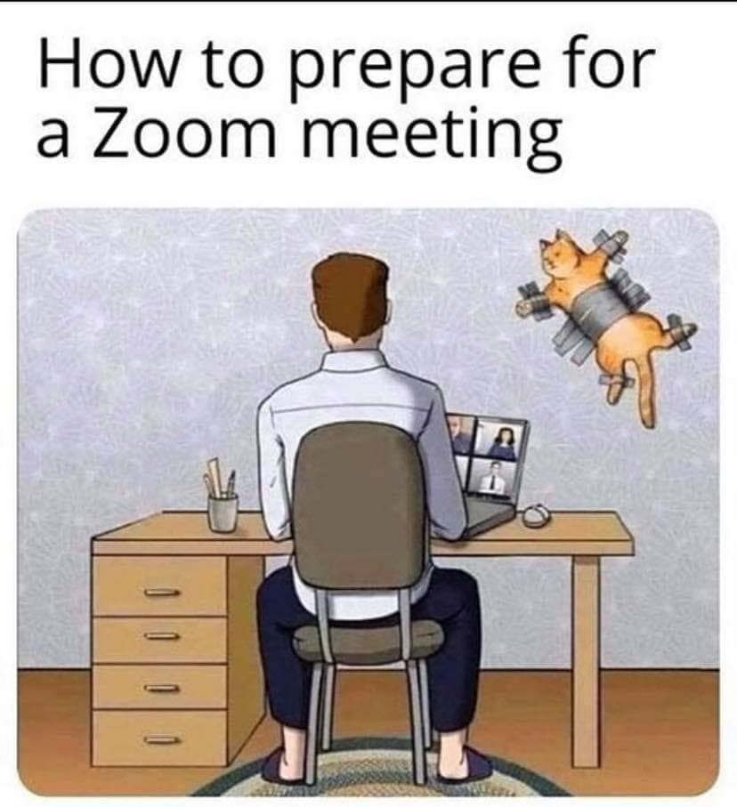 meme how to prepare for a zoom meeting - How to prepare for a Zoom meeting