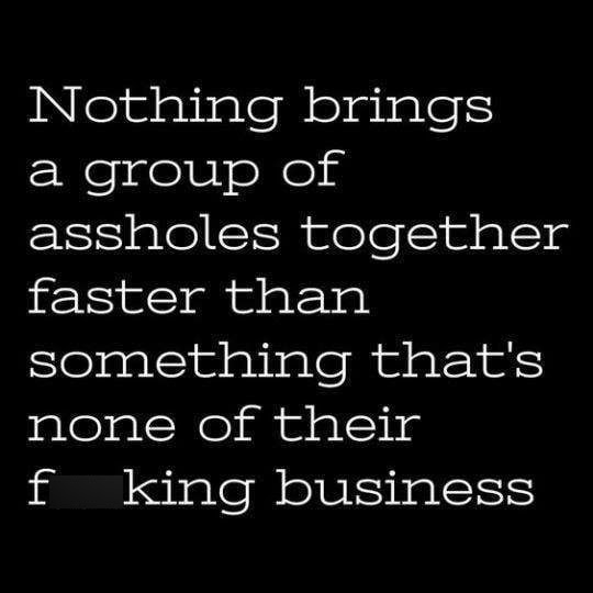 meddling quotes - Nothing brings a group of assholes together faster than something that's none of their f king business