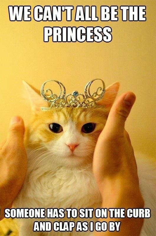 super funny animal memes clean - We Cantall Be The Princess Someone Has To Sit On The Curb And Clapas I Go By