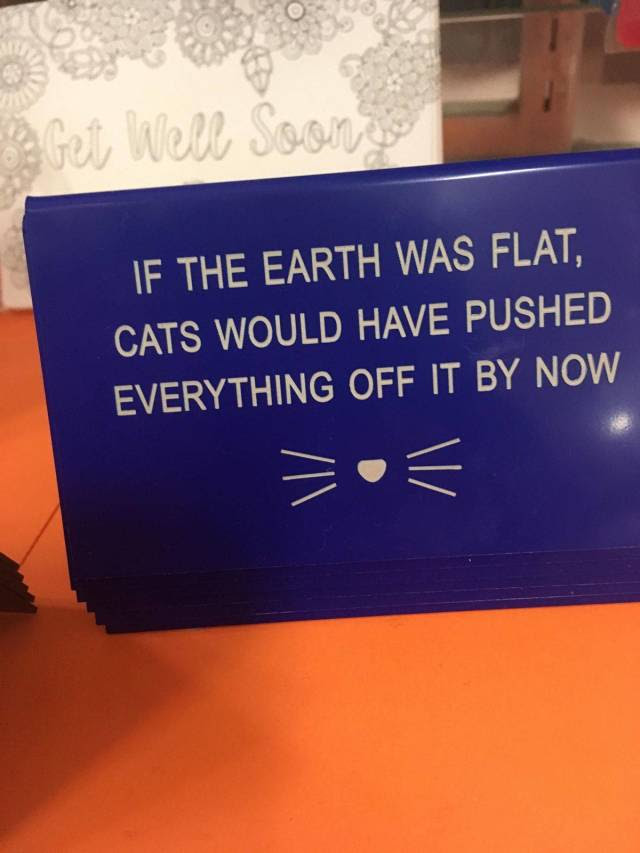 earth is round funny - Get Well Soon If The Earth Was Flat, Cats Would Have Pushed Everything Off It By Now \