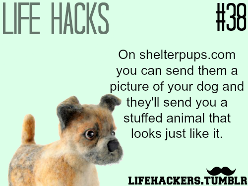 dog - Life Hacks On shelterpups.com you can send them a picture of your dog and they'll send you a stuffed animal that looks just it. Lifehackers.Tumblr