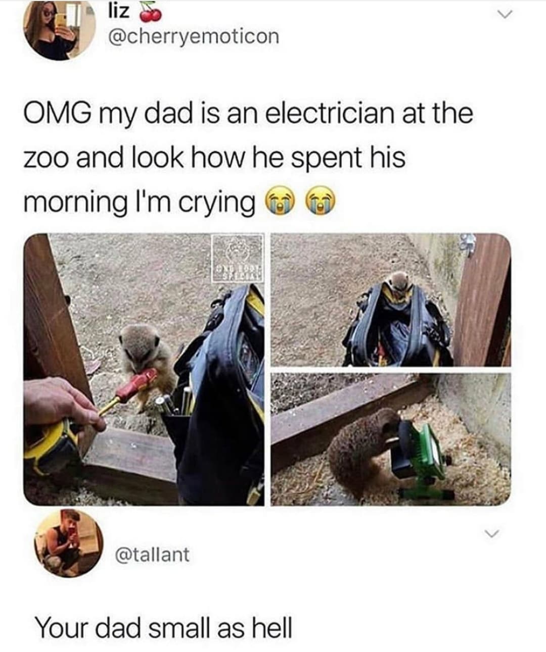 my dad is an electrician at a zoo - liz Omg my dad is an electrician at the zoo and look how he spent his morning I'm crying Your dad small as hell