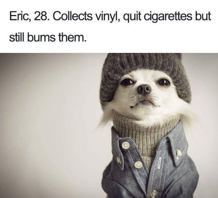 dog bios - Eric, 28. Collects vinyl, quit cigarettes but still bums them.