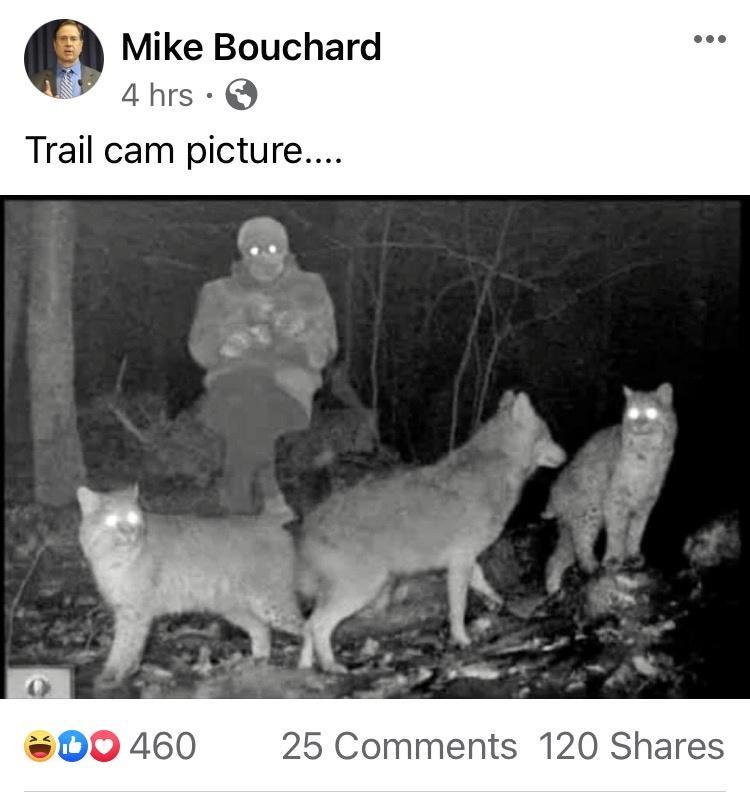 fauna - Mike Bouchard 4 hrs Trail cam picture.... Do 460 25 120