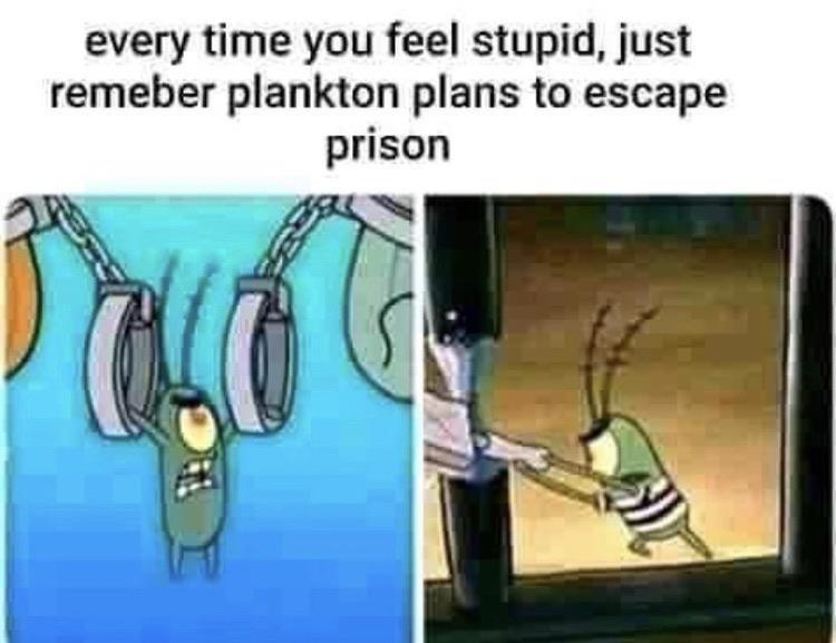plankton meme - every time you feel stupid, just remeber plankton plans to escape prison