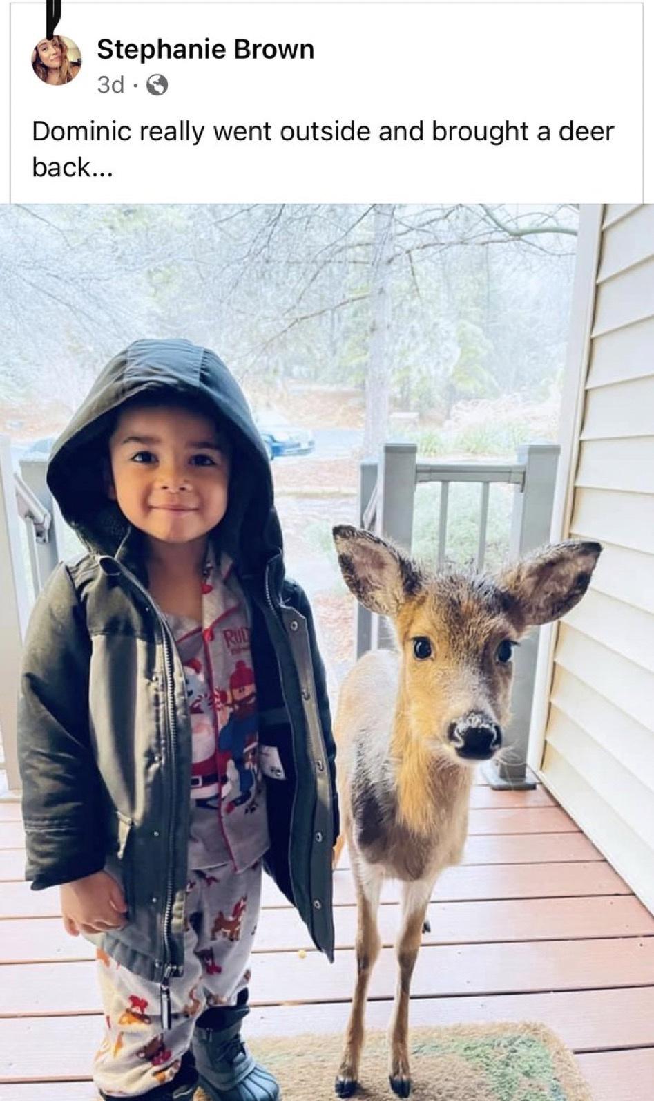 Friendship - Stephanie Brown 3d. Dominic really went outside and brought a deer back.... Rud