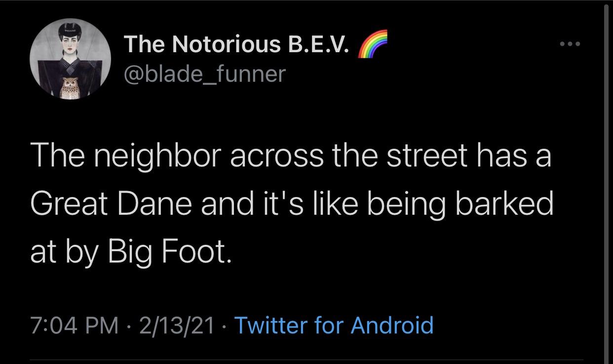 white people awesome sauce meme - The Notorious B.E.V. The neighbor across the street has a Great Dane and it's being barked at by Big Foot. 21321 Twitter for Android