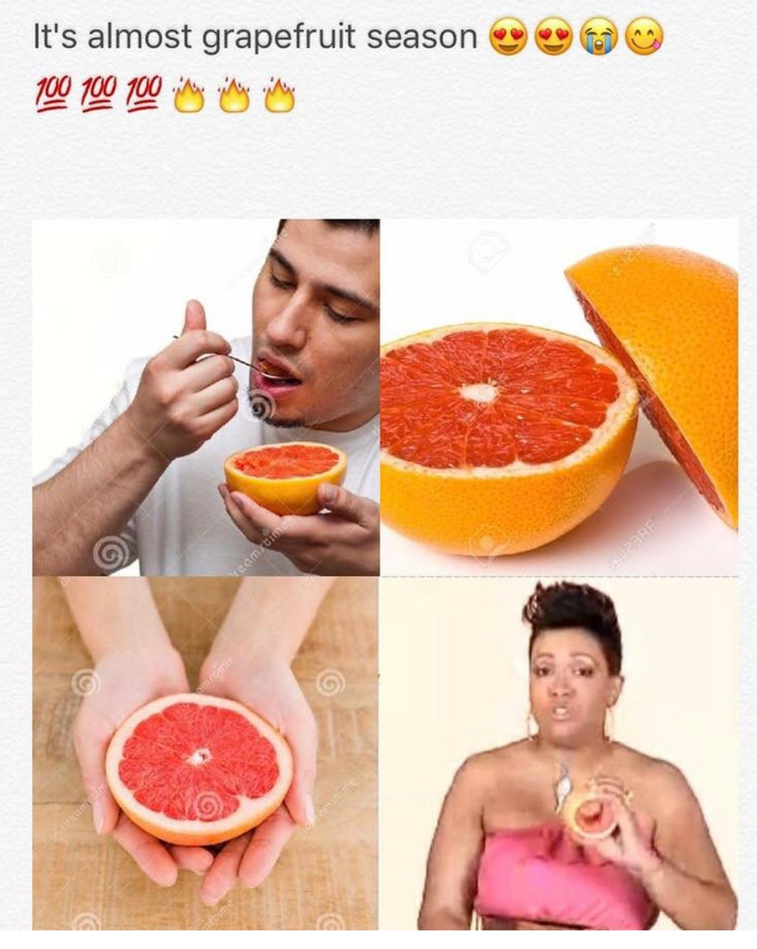 grapefruit meme - It's almost grapefruit season 100 100 100