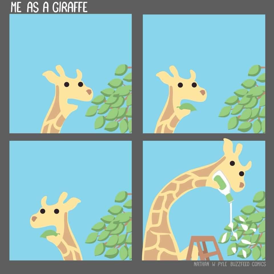 giraffe nathan w pyle - Me As A Giraffe Nathan W Pyle Buzzfeed Comics