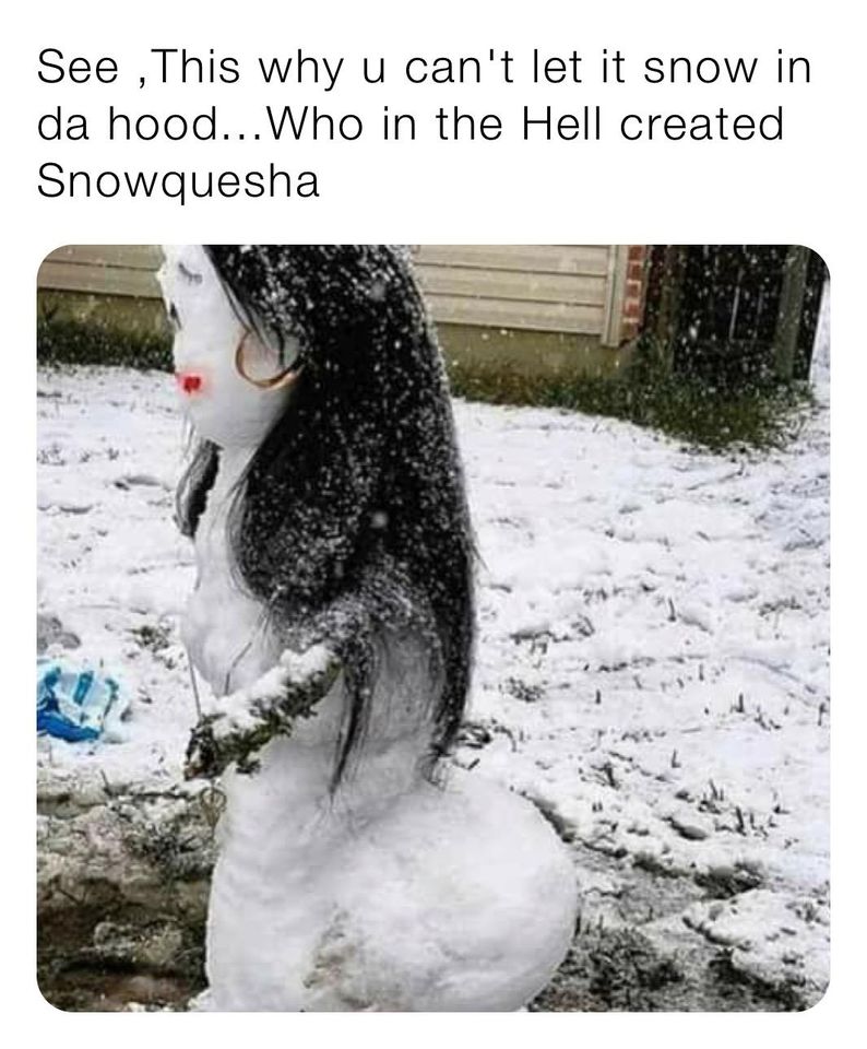 snowquesha meme - See This why u can't let it snow in da hood...Who in the Hell created Snowquesha