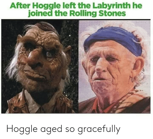 rolling stones funny meme - After Hoggle left the Labyrinth he joined the Rolling Stones Hoggle aged so gracefully