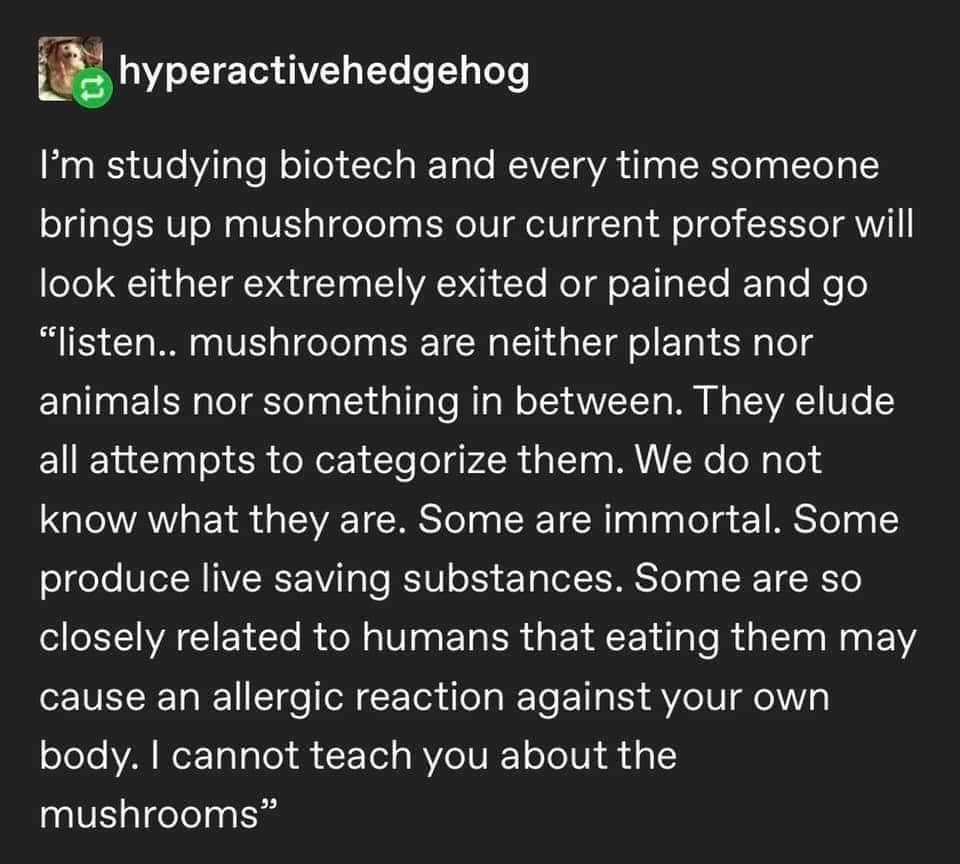 decay exists as an extant form of life - hyperactivehedgehog I'm studying biotech and every time someone brings up mushrooms our current professor will look either extremely exited or pained and go "listen.. mushrooms are neither plants nor animals nor so