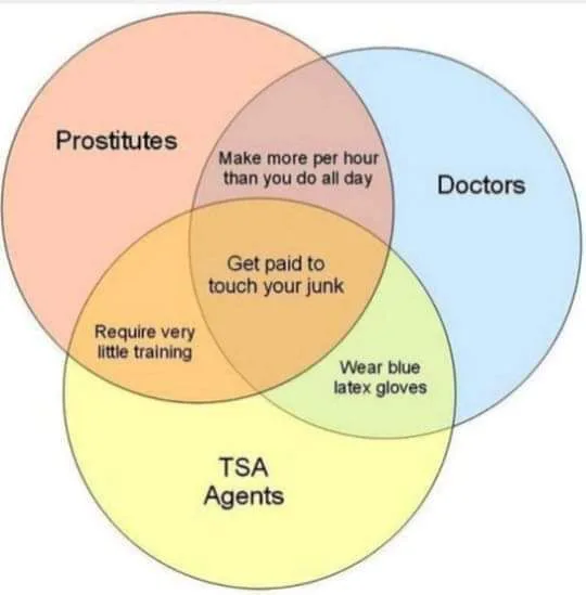 funny venn diagrams - Prostitutes Make more per hour than you do all day Doctors Get paid to touch your junk Require very little training Wear blue latex gloves Tsa Agents