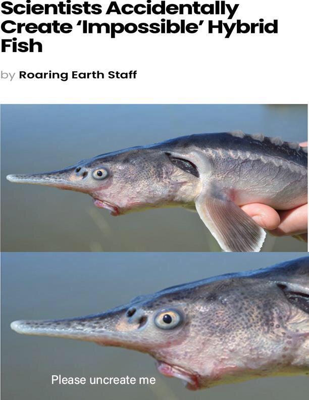 Scientists Accidentally, Create 'Impossible' Hybrid Fish by Roaring Earth Staff Please uncreate me