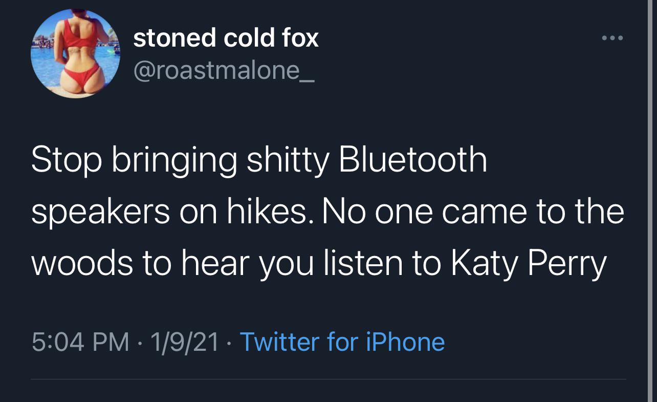 sad relatable instagram quotes - stoned cold fox Stop bringing shitty Bluetooth speakers on hikes. No one came to the woods to hear you listen to Katy Perry 1921 Twitter for iPhone