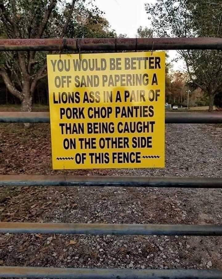 funny gate signs - You Would Be Better Off Sand Papering A Lions Ass In A Pair Of Pork Chop Panties Than Being Caught On The Other Side Of This Fence