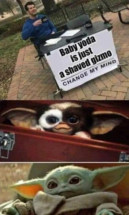 gizmo baby yoda - Baby yoda is just a shaved gizmo Change My Mind