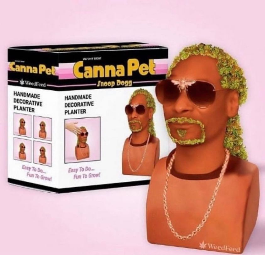 eyewear - Canna Pe Canna Pet Weed Feed Handmade Decorative Planter Snoop Dogg Handmade Decorative Planter Easy To Do... Fun To Growd Easy To Do Fun To Grow! WeedFeed