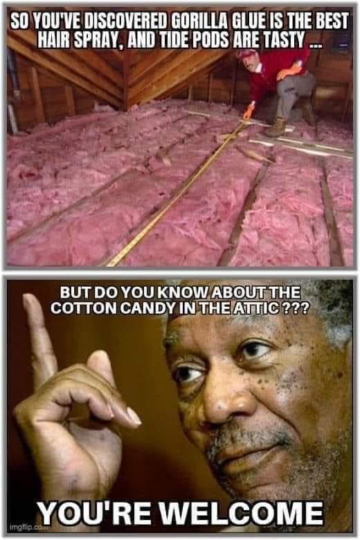 morgan freeman - So You'Ve Discovered Gorilla Glue Is The Best Hair Spray, And Tide Pods Are Tasty ... But Do You Know About The Cotton Candy In The Attic ??? You'Re Welcome Imgflip.com