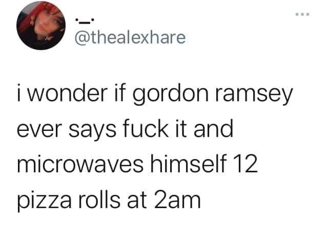 point - i wonder if gordon ramsey ever says fuck it and microwaves himself 12 pizza rolls at 2am
