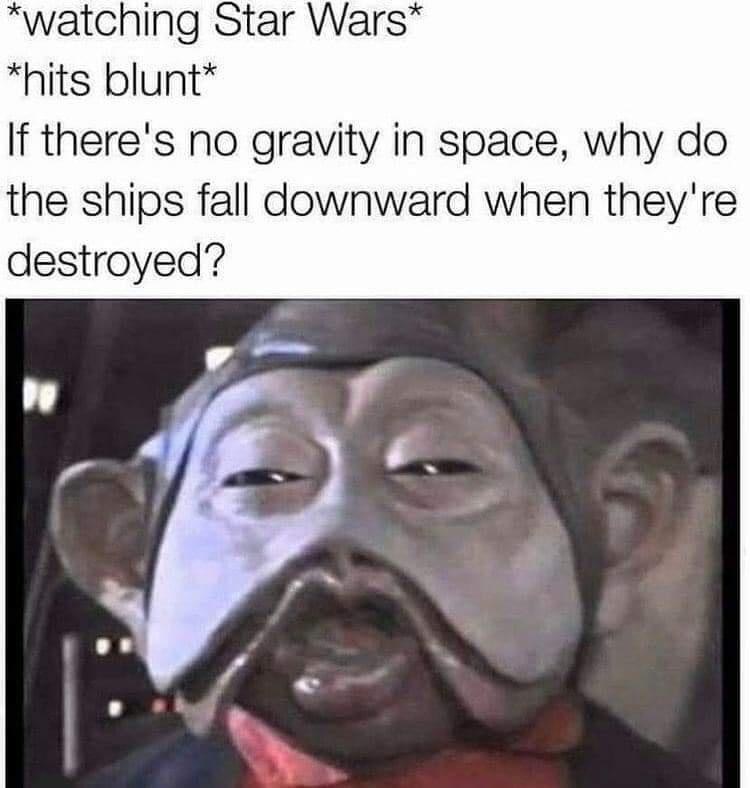 nien nunb meme - watching Star Wars hits blunt If there's no gravity in space, why do the ships fall downward when they're destroyed?