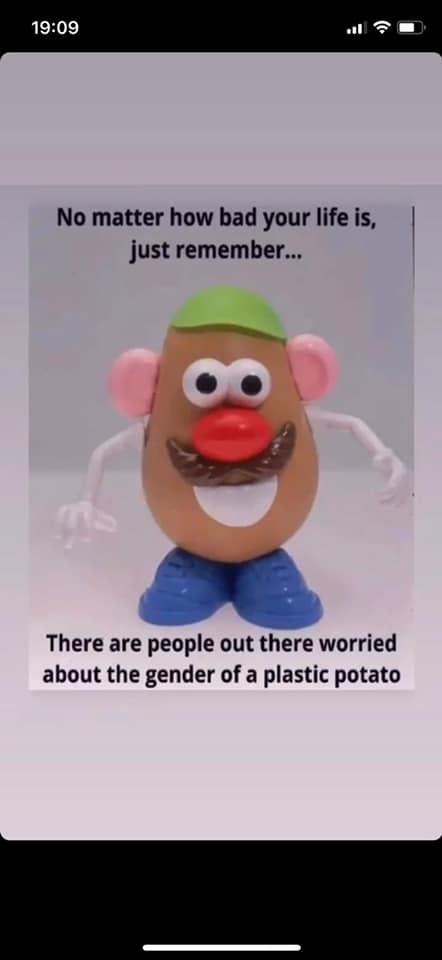 photo caption - No matter how bad your life is, just remember... There are people out there worried about the gender of a plastic potato