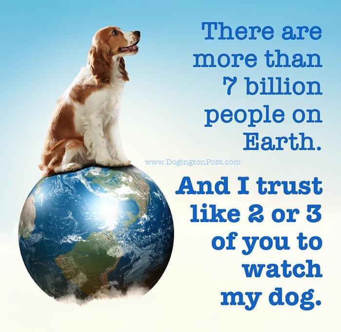 There are more than oy billion people on Earth. Post.com And I trust 2 or 3 of you to watch my dog.