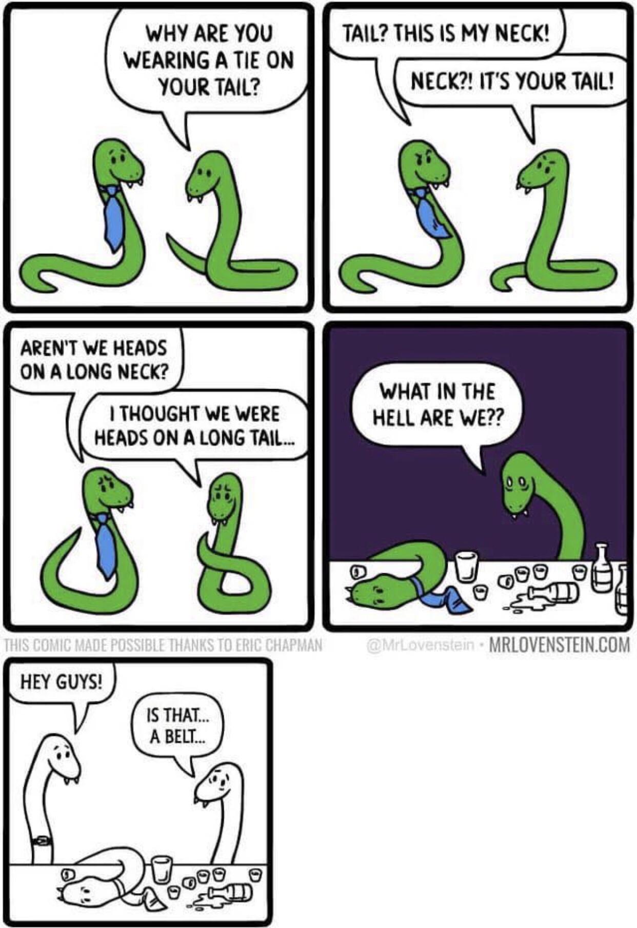 dark humor comic strips - Tail? This Is My Neck! Why Are You Wearing A Tie On Your Tail? Neck?! It'S Your Tail! S2 S2 Aren'T We Heads On A Long Neck? I Thought We Were Heads On A Long Tail... What In The Hell Are We?? 000 e This Comic Made Possible Thanks
