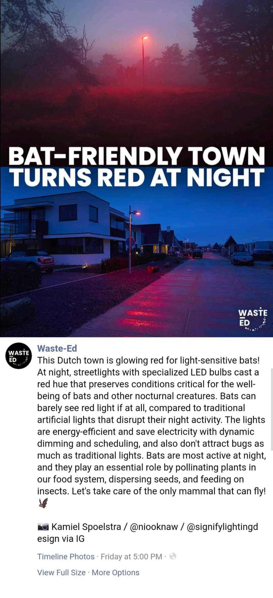 sky - BatFriendly Town Turns Red At Night Waste Ed 3185 Waste Ed WasteEd This Dutch town is glowing red for lightsensitive bats! At night, streetlights with specialized Led bulbs cast a red hue that preserves conditions critical for the well being of bats
