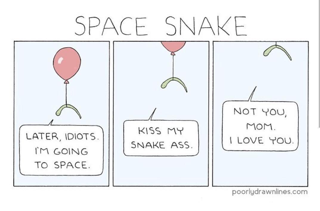 diagram - Space Snake Not You Mom. I Love You. Later, Idiots. Im Going To Space Kiss My Snake Ass. poorlydrawnlines.com