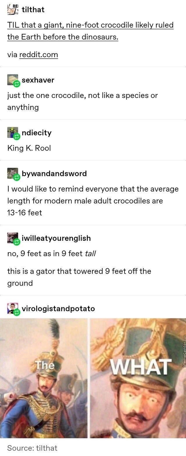 back side of the exam meme - Rei tilthat Til that a giant, ninefoot crocodile ly ruled the Earth before the dinosaurs. via reddit.com sexhaver just the one crocodile, not a species or anything ndiecity King K. Rool bywandandsword I would to remind everyon