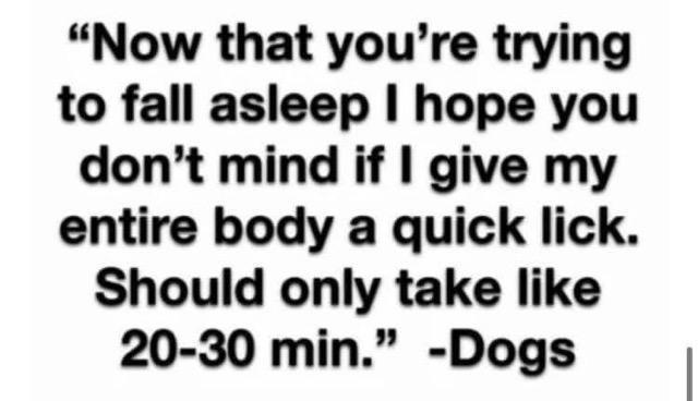 handwriting - "Now that you're trying to fall asleep I hope you don't mind if I give my entire body a quick lick. Should only take 2030 min." Dogs