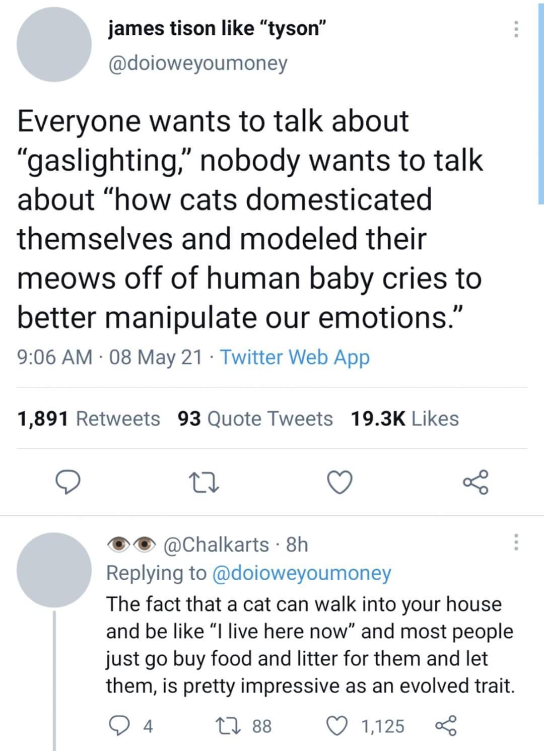 girls with curly hair straighten it girls - james tison "tyson" Everyone wants to talk about gaslighting," nobody wants to talk about "how cats domesticated themselves and modeled their meows off of human baby cries to better manipulate our emotions." 08 