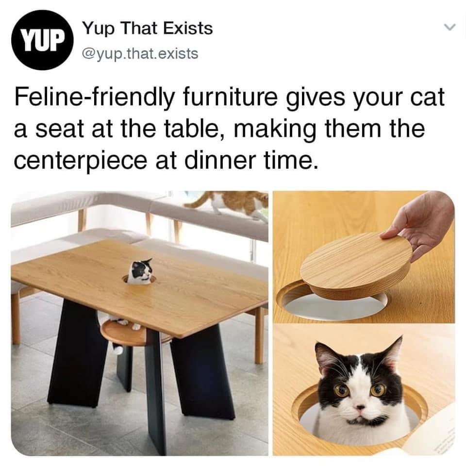 Furniture - Yup Yup That Exists .that.exists Felinefriendly furniture gives your cat a seat at the table, making them the centerpiece at dinner time.