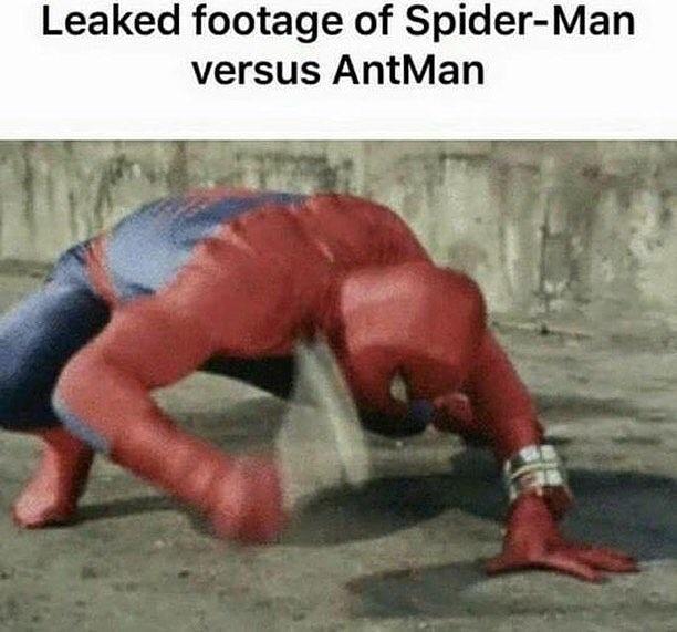 spiderman smacking floor - Leaked footage of SpiderMan versus AntMan