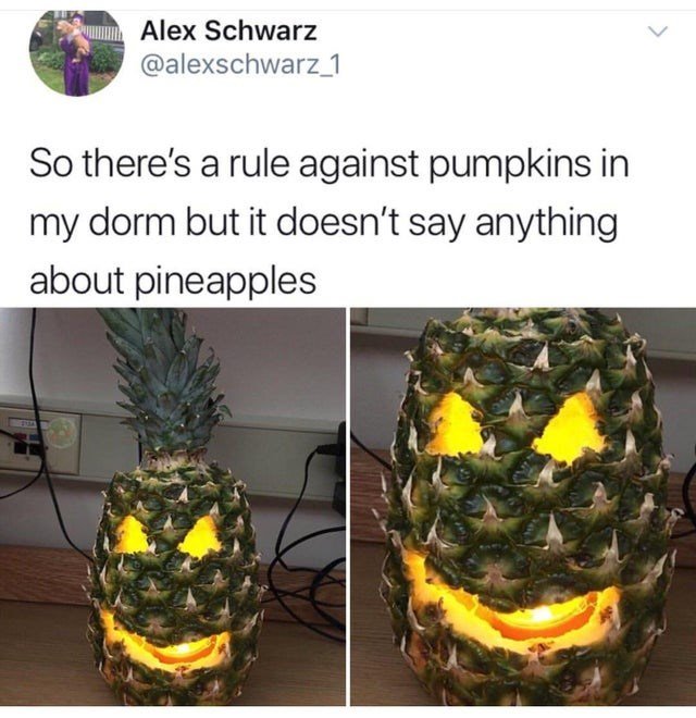 hilarious memes - best memes - malicious compliance meme - Alex Schwarz So there's a rule against pumpkins in my dorm but it doesn't say anything about pineapples