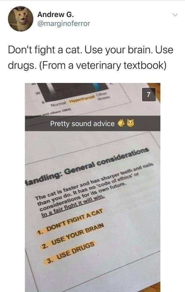 hilarious memes - random memes - don t fight a cat use drugs - Andrew G. Don't fight a cat. Use your brain. Use drugs. From a veterinary textbook 7 Normal Hyperton Pretty sound advice on Aandling General considerations The cat is faster and has sharper te