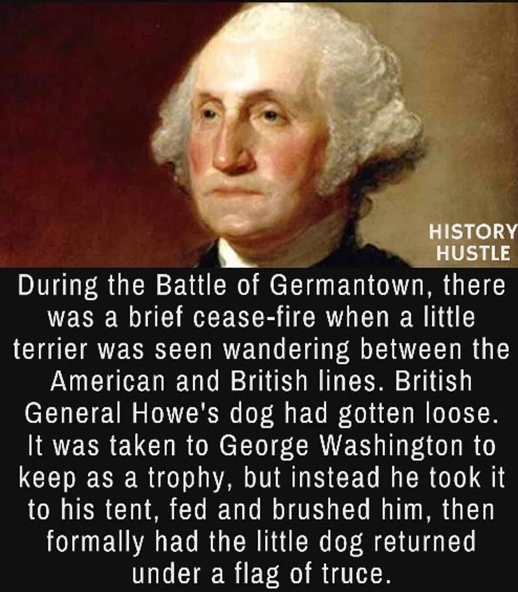 hilarious memes - random memes - george washington portrait - History Hustle During the Battle of Germantown, there was a brief ceasefire when a little terrier was seen wandering between the American and British lines. British General Howe's dog had gotte