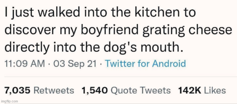 funny memes - randoms - handwriting - I just walked into the kitchen to discover my boyfriend grating cheese directly into the dog's mouth. 03 Sep 21 Twitter for Android 7,035 1,540 Quote Tweets imgflip.com