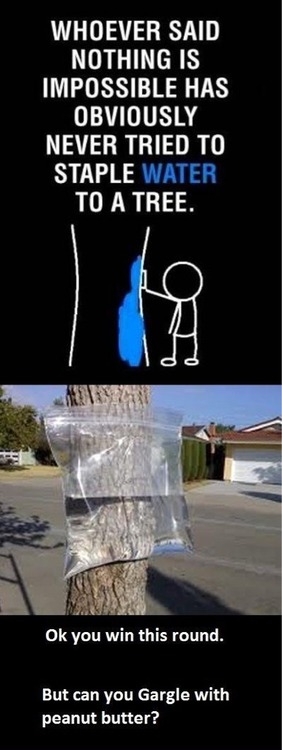funny memes - randoms - water stapled to tree - Whoever Said Nothing Is Impossible Has Obviously Never Tried To Staple Water To A Tree. to Ok you win this round. But can you Gargle with peanut butter?