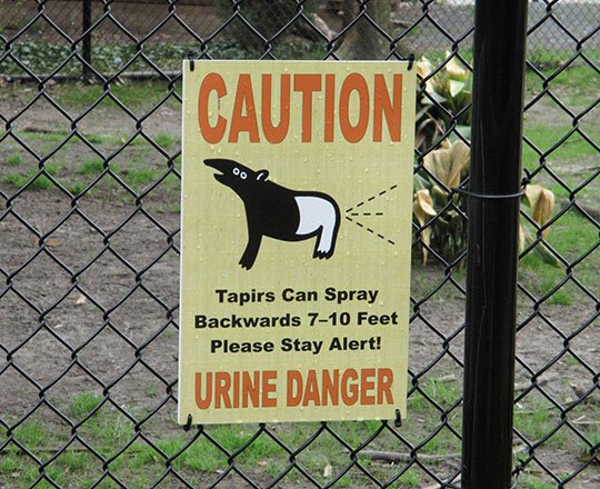 funny memes - randoms - virginia zoological park - Caution 00 Tapirs Can Spray Backwards 710 Feet Please Stay Alert! Urine Danger