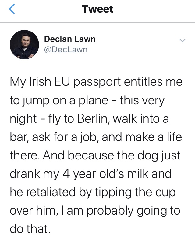 funny memes - randoms - body dysmorphia meme - r Tweet Declan Lawn My Irish Eu passport entitles me to jump on a plane this very night fly to Berlin, walk into a bar, ask for a job, and make a life there. And because the dog just drank my 4 year old's mil