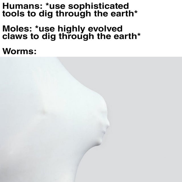 humans moles worms meme - Humans use sophisticated tools to dig through the earth Moles use highly evolved claws to dig through the earth Worms