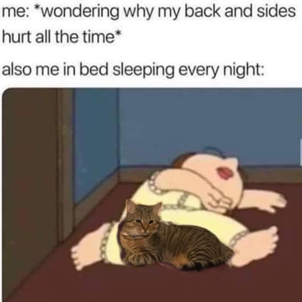 funny memes and pics - random memes - me wondering why my back and sides hurt all the time also me in bed sleeping every night