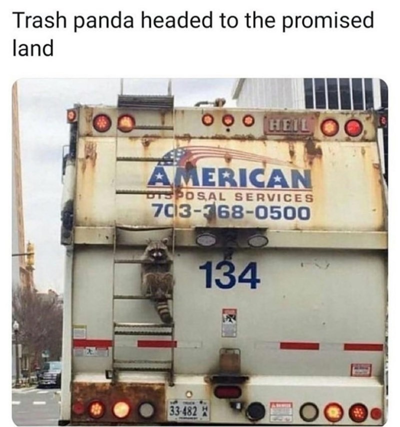 funny memes and pics - raccoon garbage truck - Trash panda headed to the promised land 0 0 0 Heil Oo American Sposal Services 70133680500 134 33482 Oo