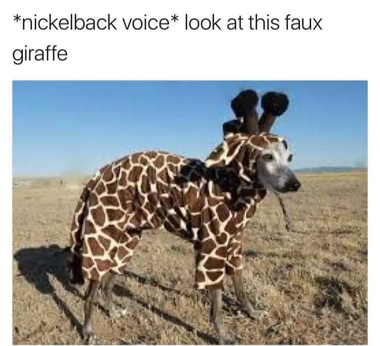funny memes - fun randoms - look at this faux giraffe nickelback - nickelback voice look at this faux giraffe