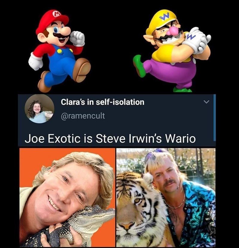 funny memes - fun randoms - steve irwin tiger king wario - F Clara's in selfisolation Joe Exotic is Steve Irwin's Wario