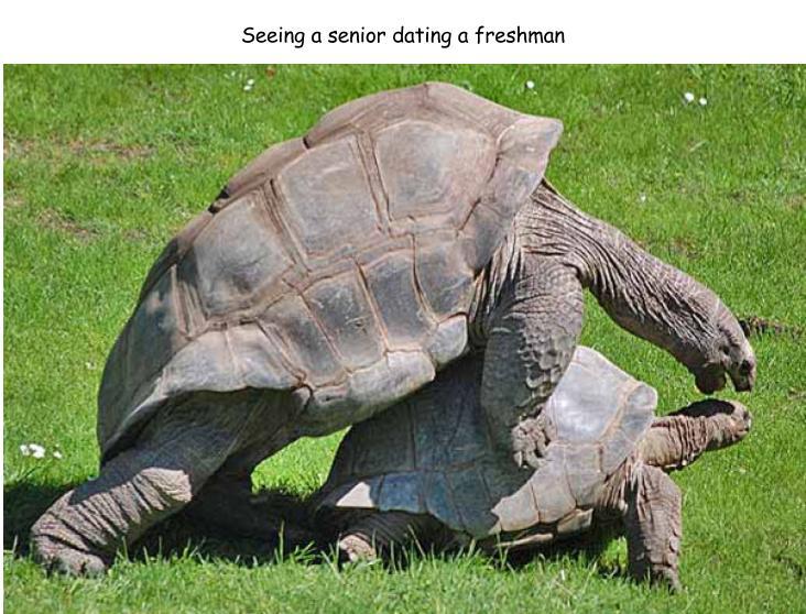 funny memes - fun randoms - galapagos tortoise mating - Seeing a senior dating a freshman