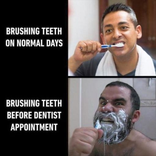 random pics and memes  - brushing teeth before dentist - Brushing Teeth On Normal Days Brushing Teeth Before Dentist Appointment