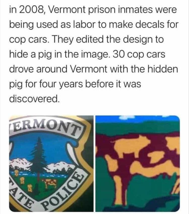 random pics and memes  - vermont state police decal - in 2008, Vermont prison inmates were being used as labor to make decals for cop cars. They edited the design to hide a pig in the image. 30 cop cars drove around Vermont with the hidden pig for four ye